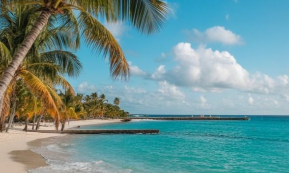 PUNTA CANA EN NOVIEMBRE Y DICIEMBRE