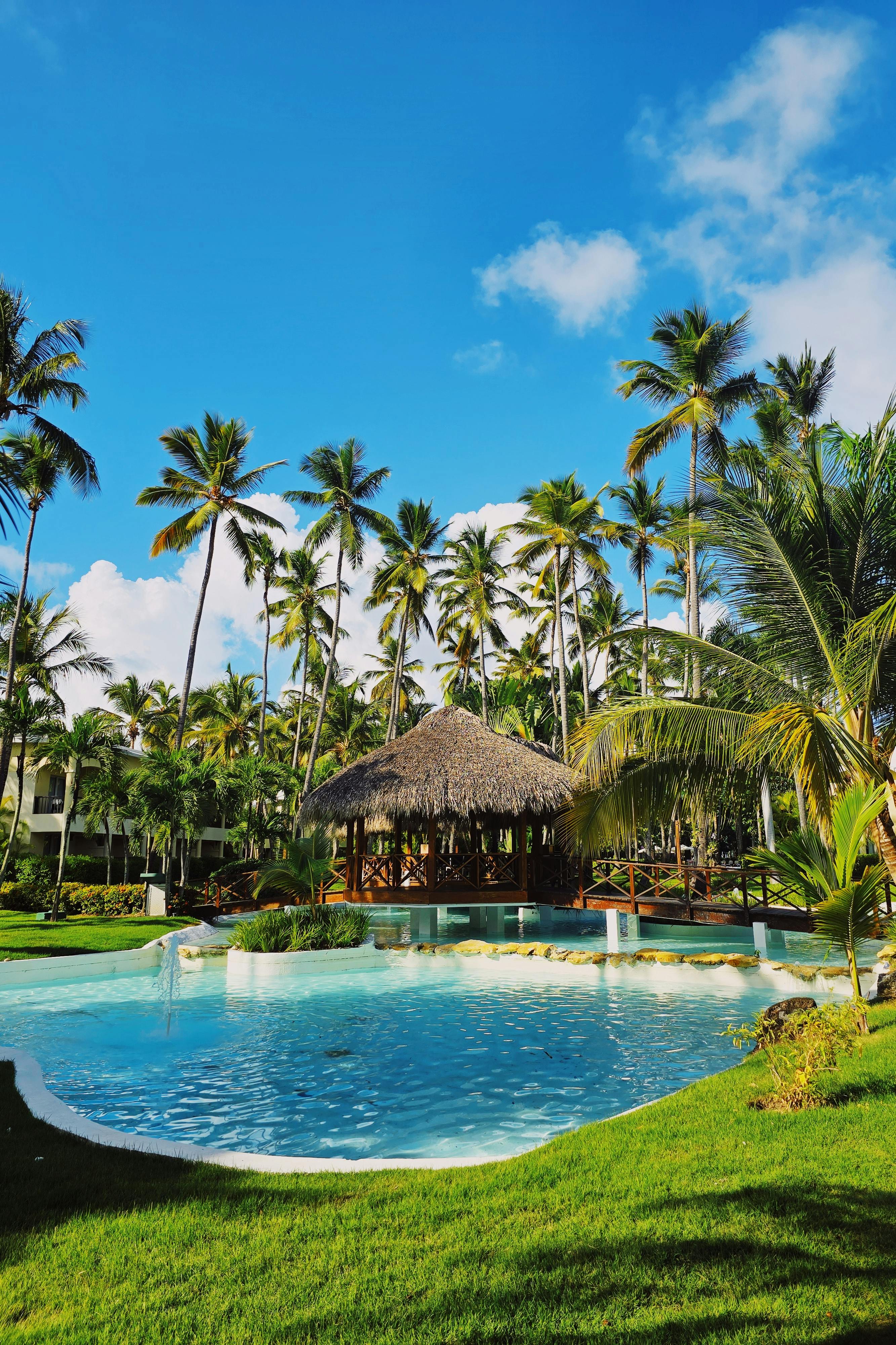 PUNTA CANA ENERO 2026