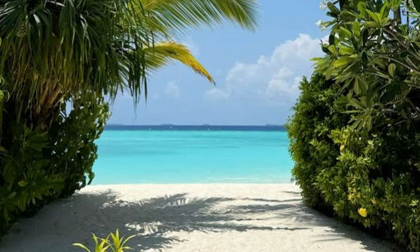 BAYAHIBE   2026
