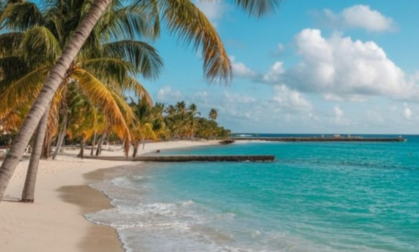 PUNTA CANA ENERO 2026